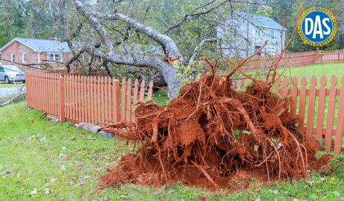 article thumbnail image